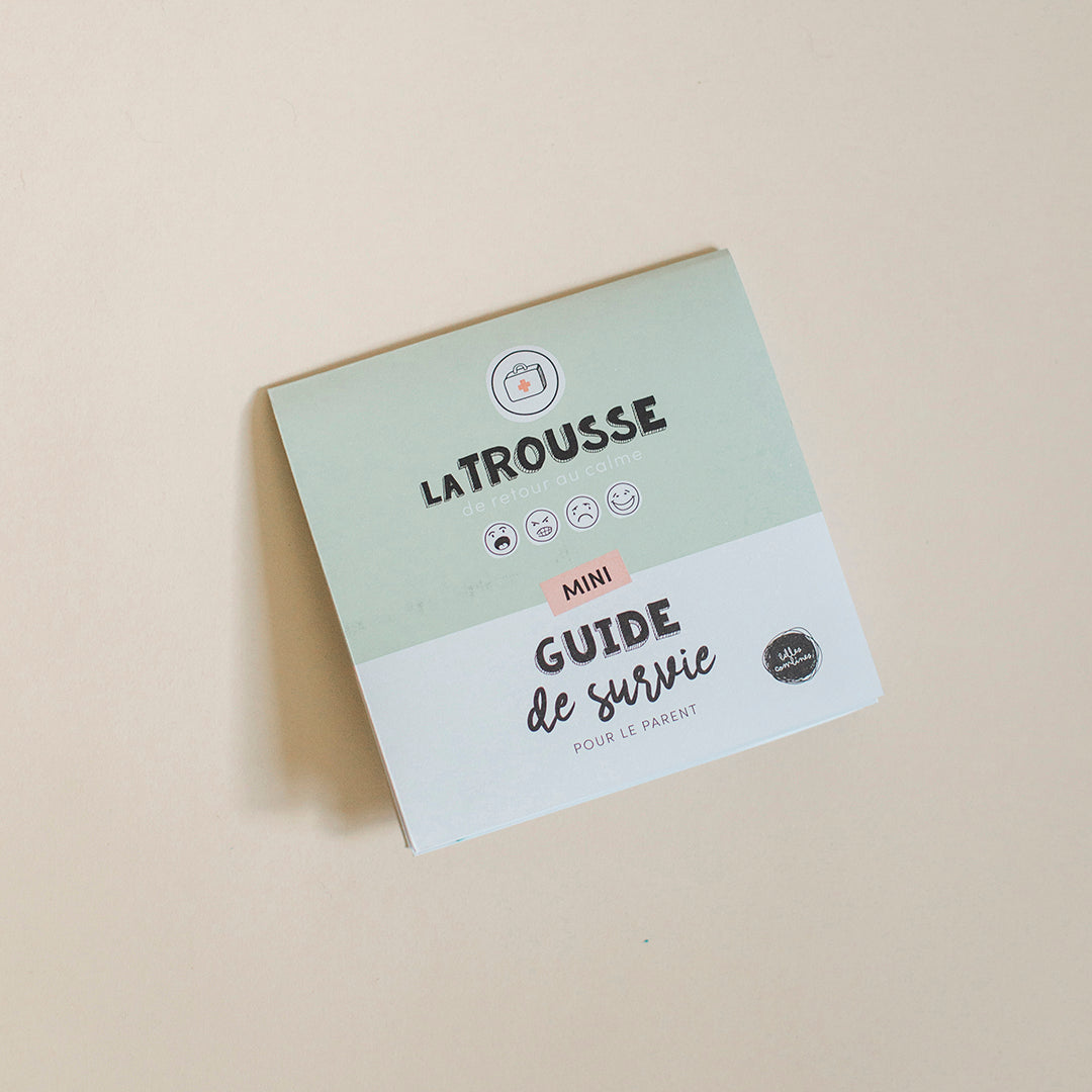 Version française de l&